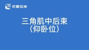 三角肌中后束拉伸